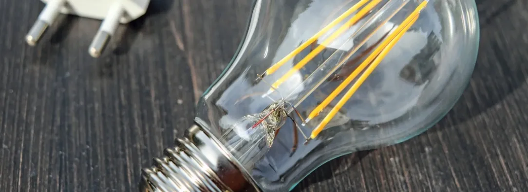 Empresas en Colombia se suman al compromiso hacia la sostenibilidad. / Foto: Pixabay.