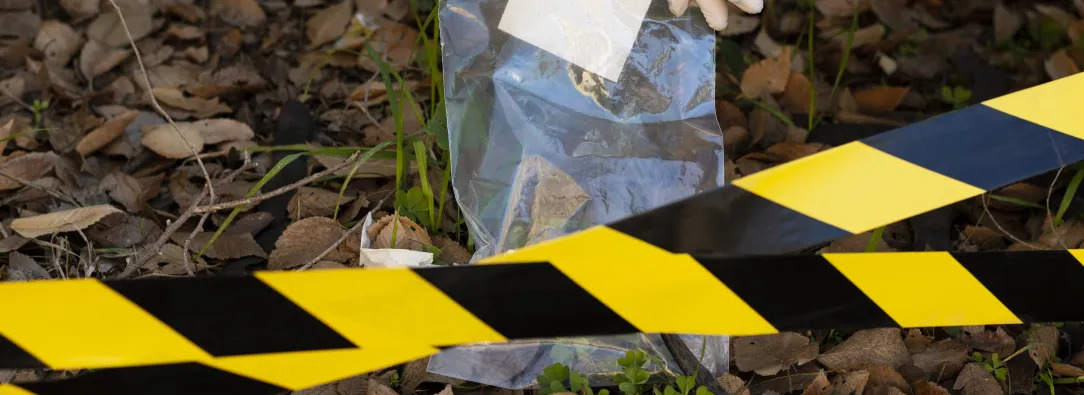 5 hombres asesinados en Puerto Rico, Caquetá