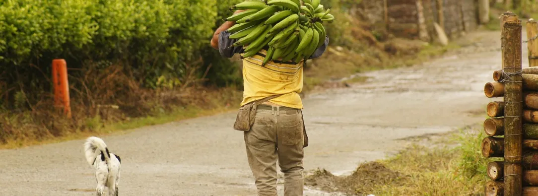 Gobierno radica proyecto de 'Jurisdicción Agraria' que establece una justicia especial para el campo colombiano