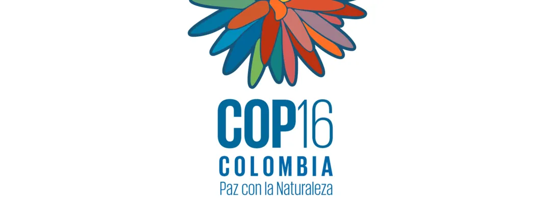 COP 16