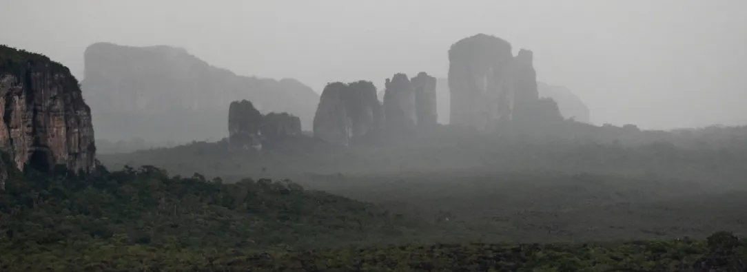 Deforestación en el Parque Nacional Chiribiquete. / Foto: MinAmbiente.