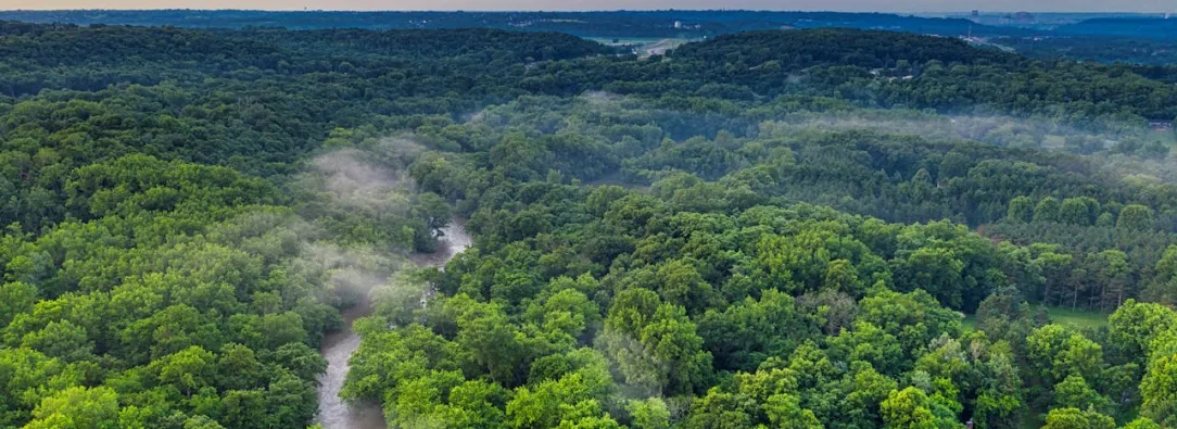 Avances ambientales a dos años del Gobierno: reducción de la deforestación y nueva regulación de plásticos