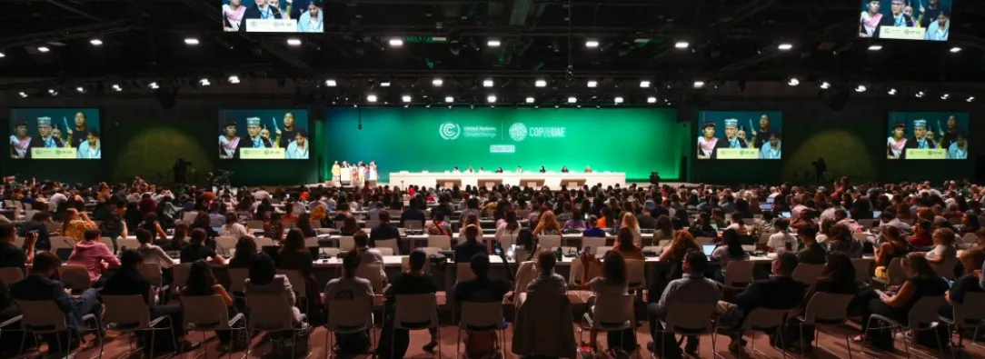 Senado aprueba proyecto de ley que exime del IVA a la COP16 en Cali