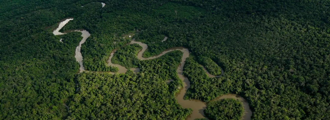 Fotografía panorámica de la Amazonía colombiana.