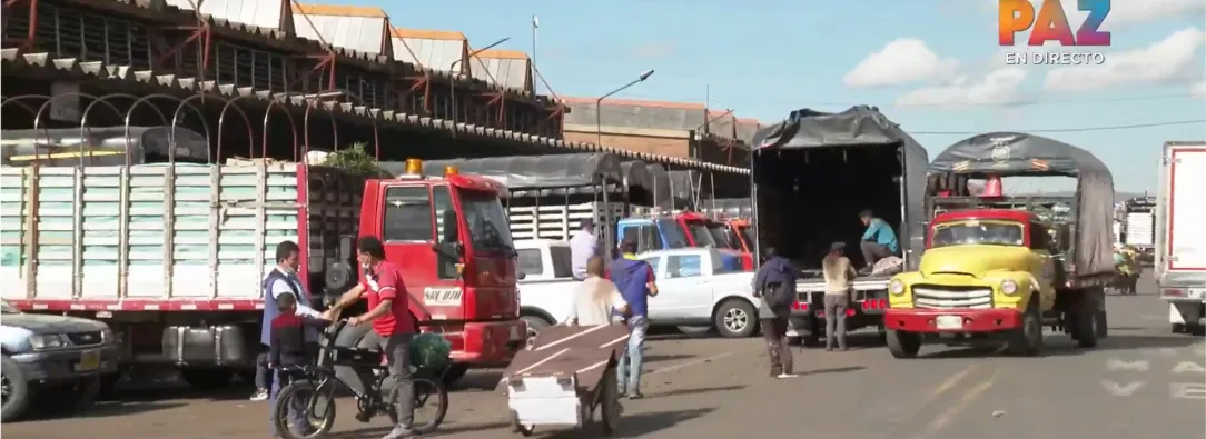 Pequeños transportadores