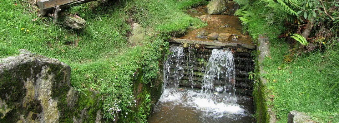 Lugares para celebrar el Día del Amor y la Amistad en Bogotá