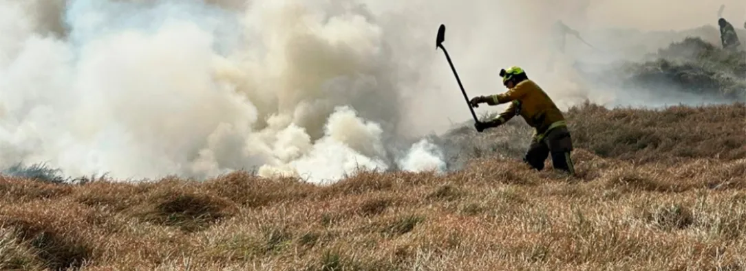 Emergencia en Bogotá: bomberos atienden simultaneamente 7 incendios forestales