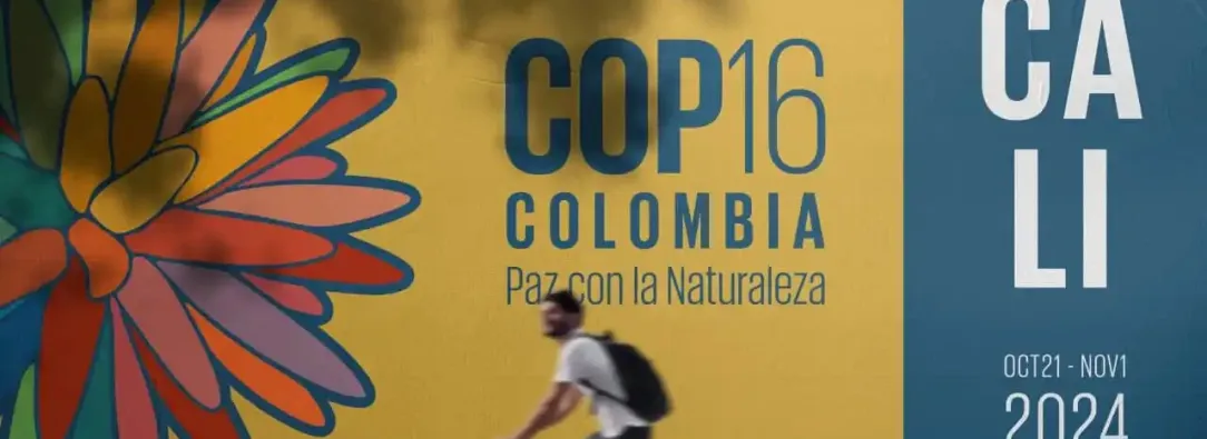 ¿Qué es la COP16 y cuál es la importancia de su realización en Colombia?