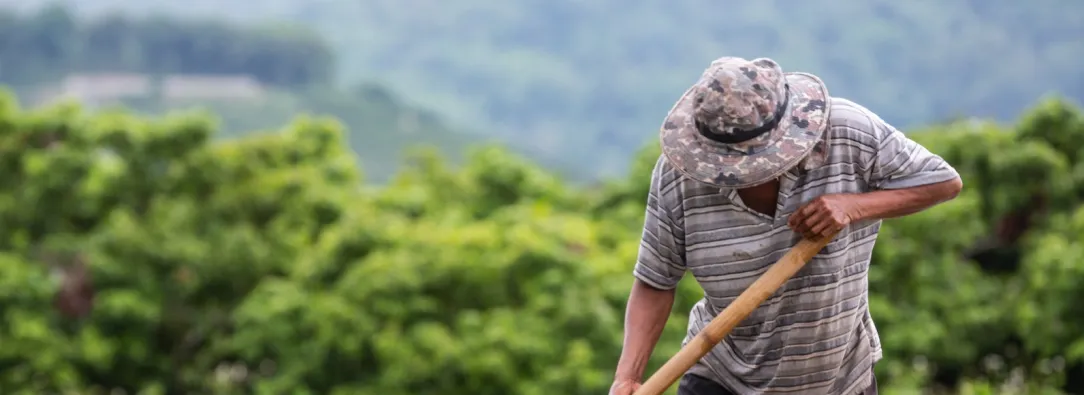Economía colombiana en aumento 