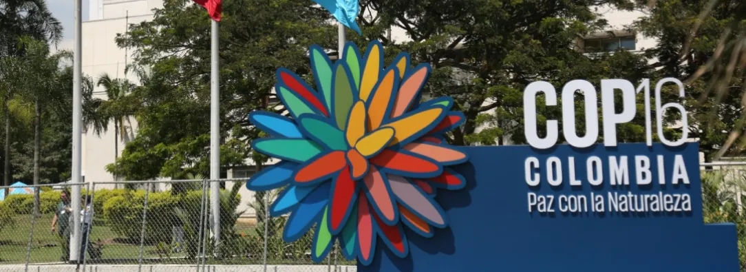 Cop16 y la capacidad hotelera en Cali. / Foto: Alcaldía de Cali.