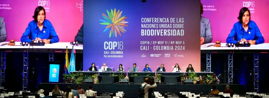 El New York Times destaca que la COP16 en Colombia podría ser la mejor en la historia de estos eventos