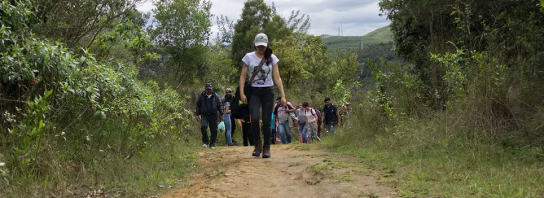 ONU denuncia asesinato de 248 líderes ambientales en Colombia desde el 2016