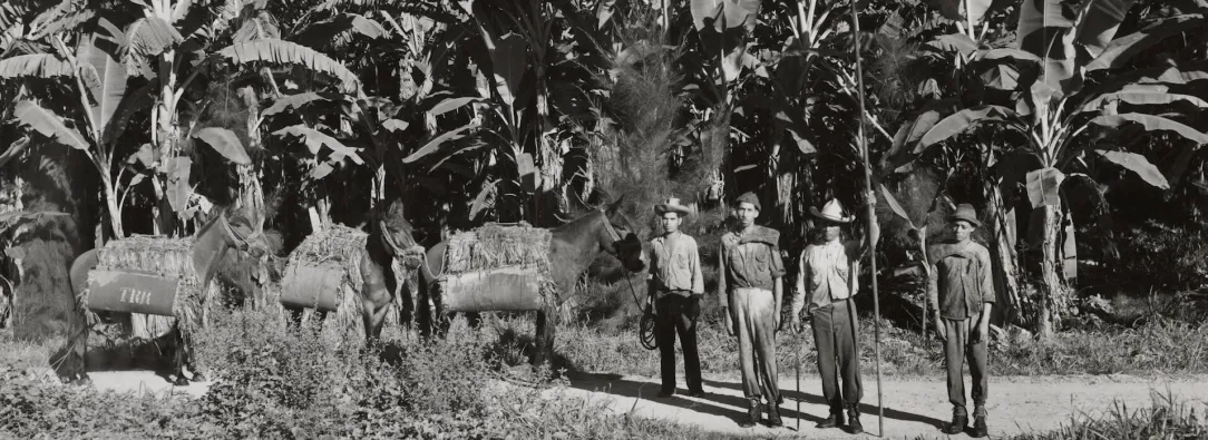 Foto Robada: la verdad detrás de la masacre de las bananeras, documental que podrás ver gratis en RTVCPlay