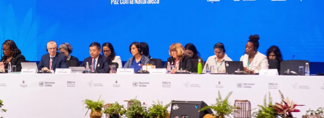 Presentación de planes de acción de biodiversidad en la COP16. / Foto: RTVC.