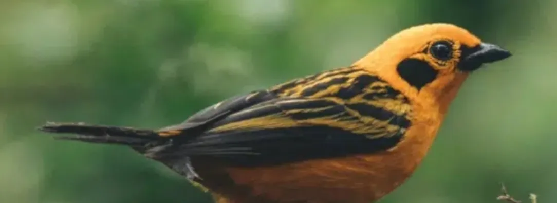 Dónde se realiza la COP16. / Foto: COP16Colombia.com 