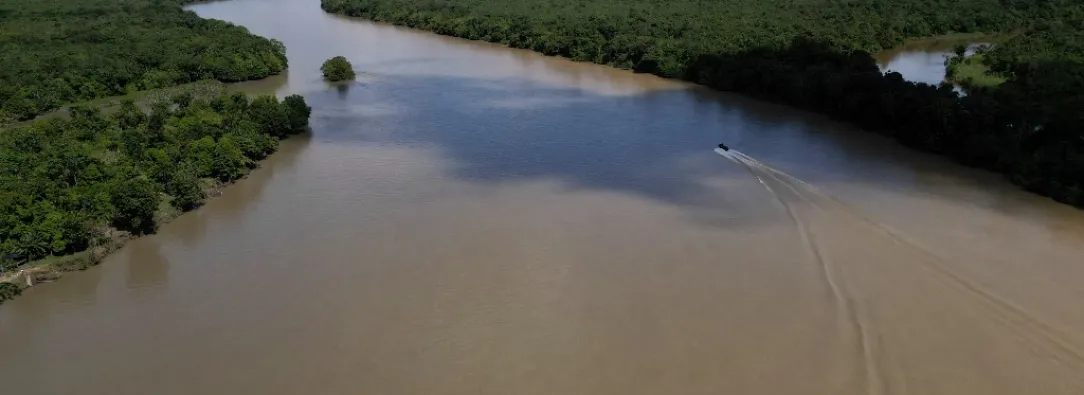 Derechos del río Atrato siguen siendo violados, pese a histórico fallo en Colombia