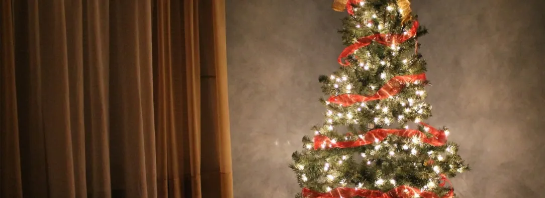 Recomendaciones para alumbrado navideño. / Foto: Pixabay.