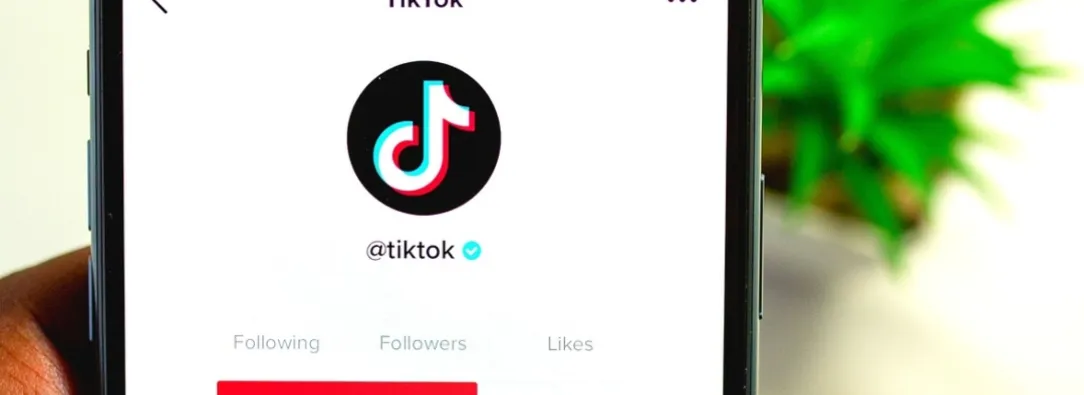 Canadá bloquea la aplicación Tiktok. / Foto: Pixabay.