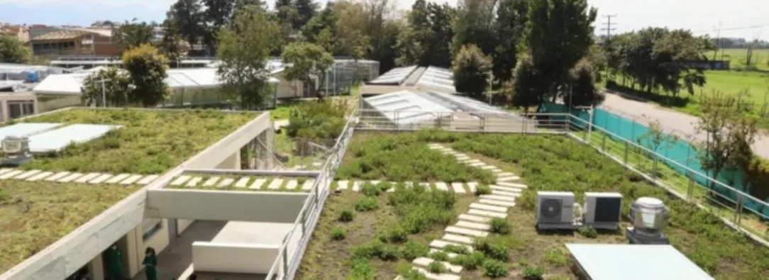 Mafe Carrascal expone deficiencias en el CAV 