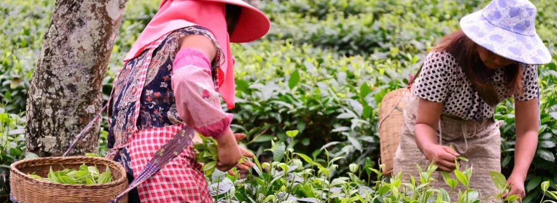 5.022 beneficiarios de 'Tu negocio en línea'. / Foto: Pixabay.