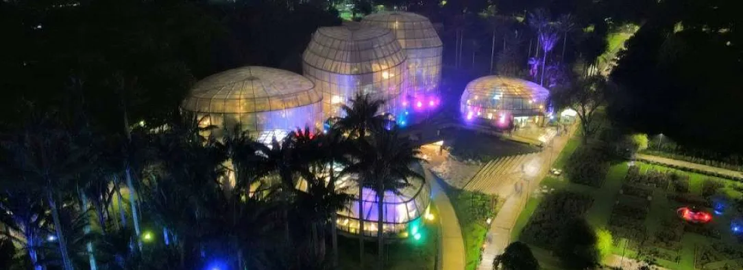 Alumbrados navideños: Jardín Botánico