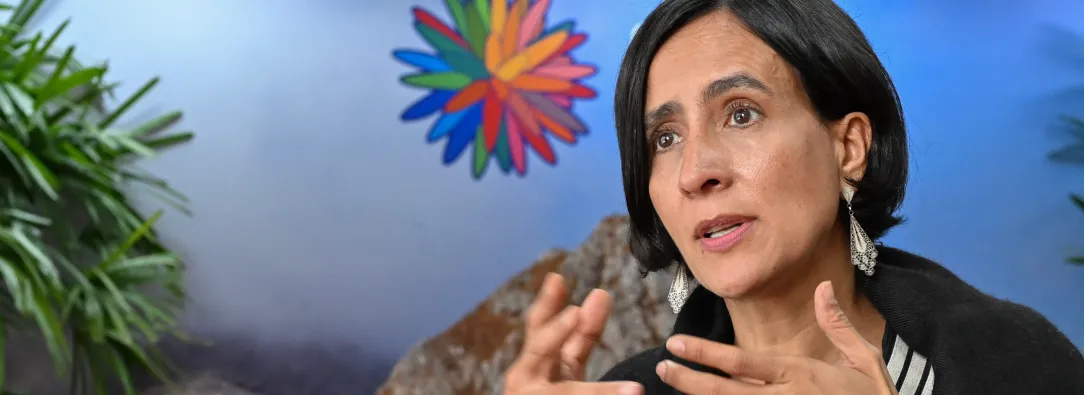 Susana Muhamad en su intervención en el 6º Diálogo Ministerial en Finanzas Climáticas, realizado en el marco de la COP29