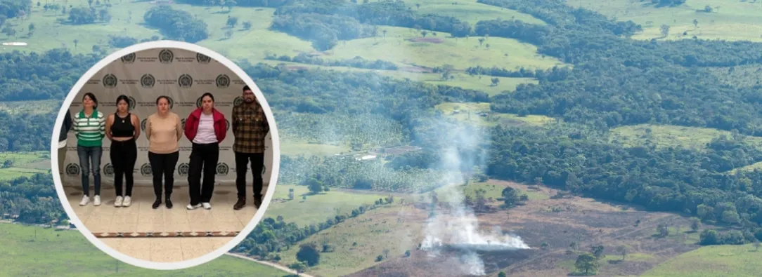 Tráfico ilícito de madera en el Amazonas. / Fotos: MinAmbiente.