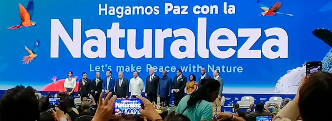 Logros ambientales del gobierno: biodiversidad y energía limpia 2024