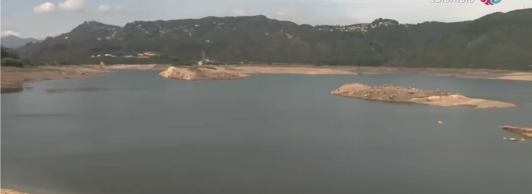 Recomiendan frenar ganadería en la Amazonía por crisis en Chingaza