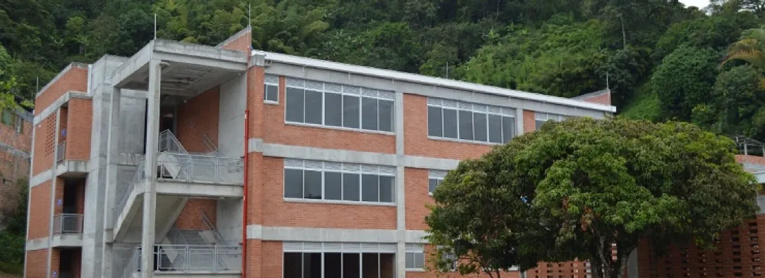 Procuraduría investiga presunto abuso sexual contra seis niñas en colegio de Ibagué