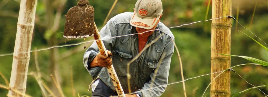 En 2024, el agro colombiano se consolidó como el motor principal de la economía del país