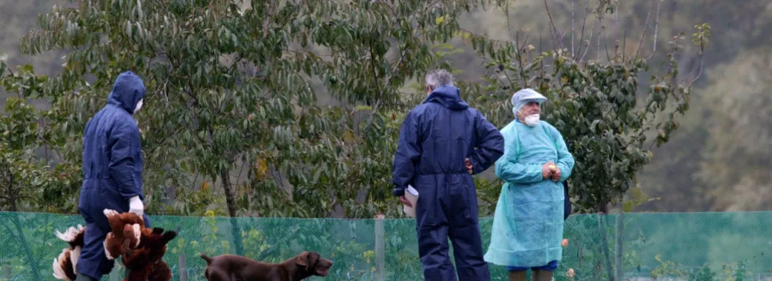 Contagiado de gripe aviar en Estados Unidos. / Foto: AFP.