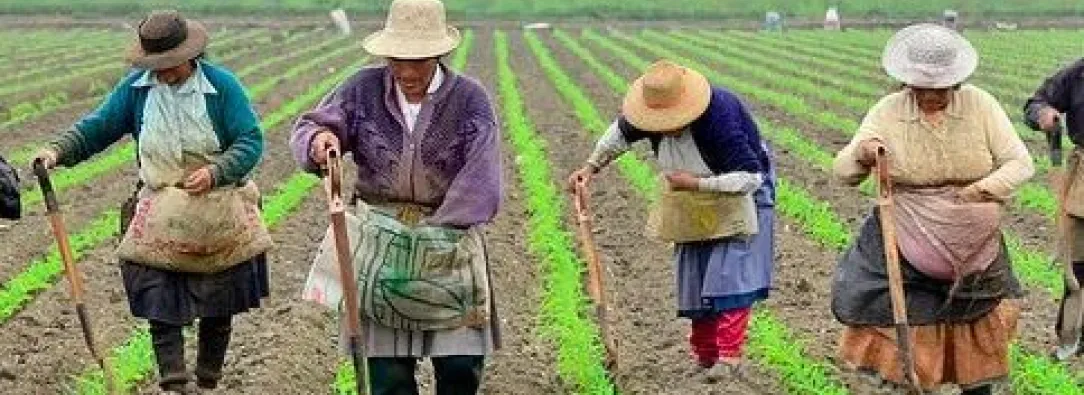 Mujeres campesinas de Colombia