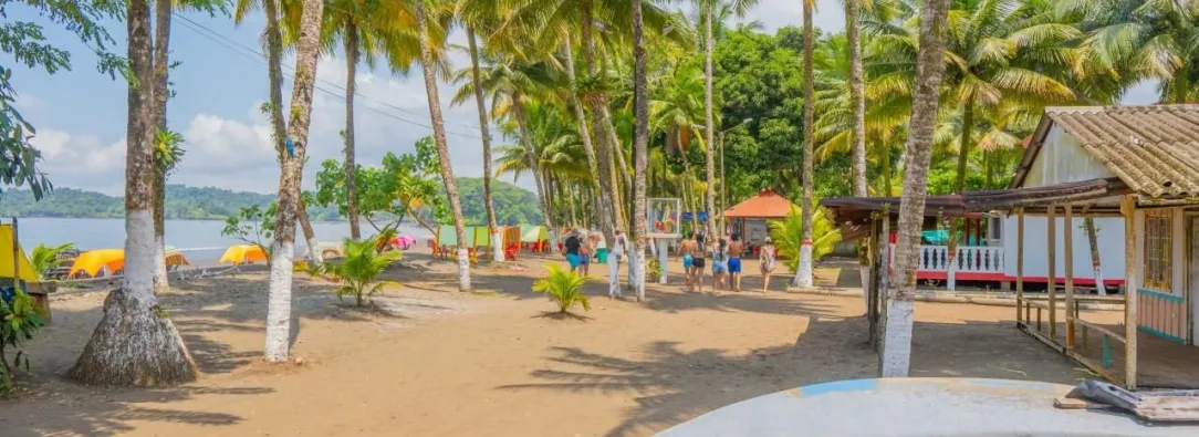 Colombia rompe récord en ingreso de divisas por turismo en 2024