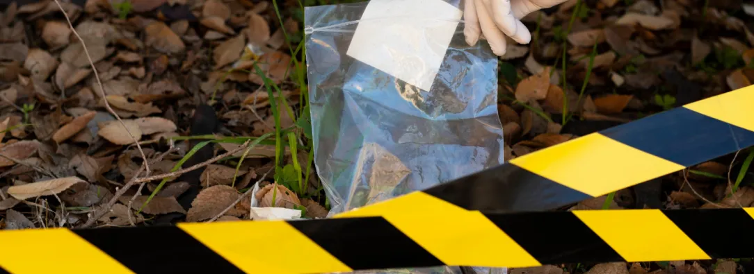 2024: el año más violento en Bogotá en desde 2016