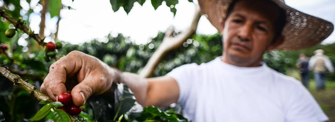 Exportaciones de productos agropecuarios y manufacturas impulsan crecimiento sostenido en 2024