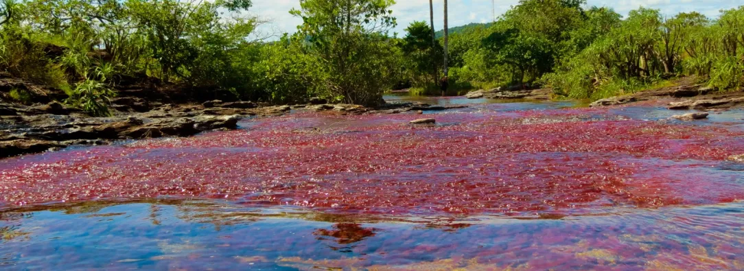 Colombia rompe récord histórico en turismo con casi 6,7 millones de visitantes en 2024