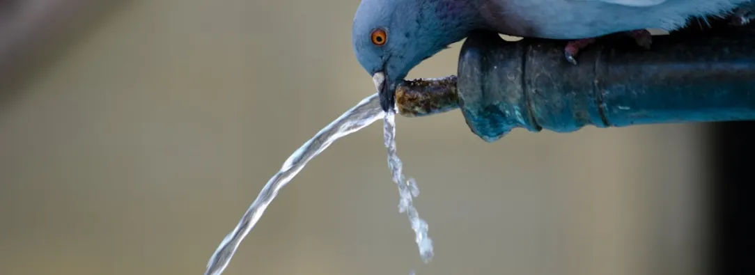 Regresa el racionamiento de agua en Bogotá este martes 7 de enero; así quedarán los turnos el resto del mes