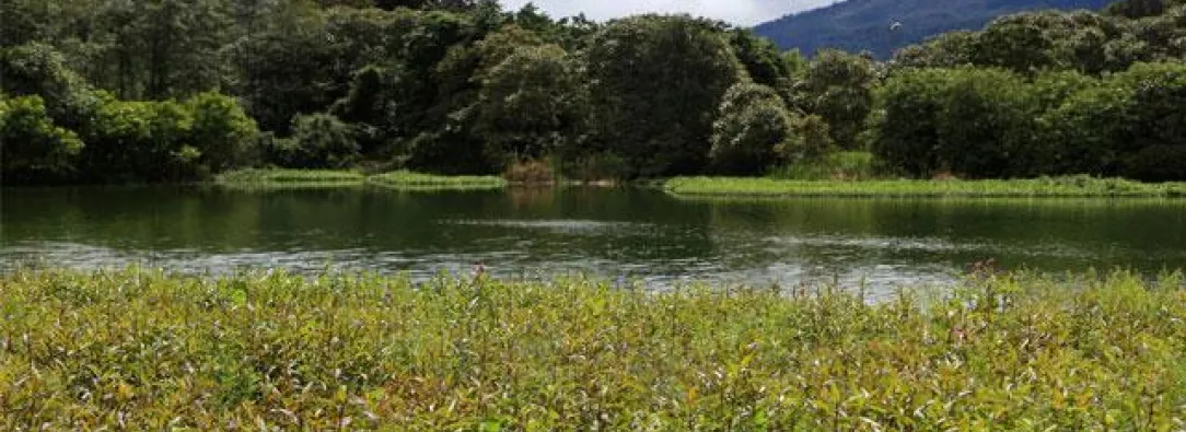 Colombia refuerza su compromiso con la protección de los humedales en el Día Mundial de los Humedales