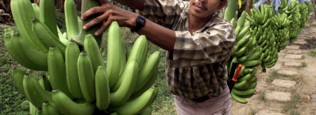 El Día del hombre no es una celebración oficial en Colombia. Sin embargo, muchas familias la celebran por tradición religiosa. / Foto: AFP.