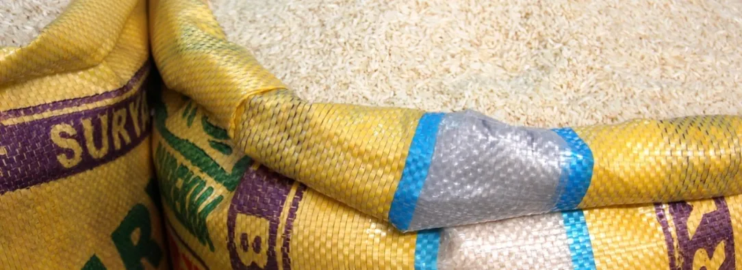 Propuestas para el sector arrocero en Colombia. / Foto: Pixabay.