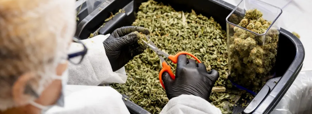 El Sistema de Medios Públicos RTVC será el medio oficial de este evento internacional. / AFP.