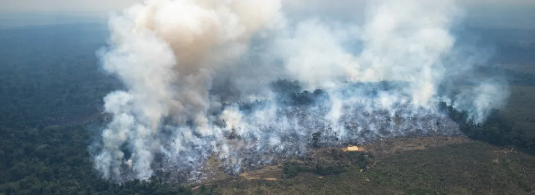 Según la ONU, 2024 fue el año más caluroso jamás registrado. / AFP.