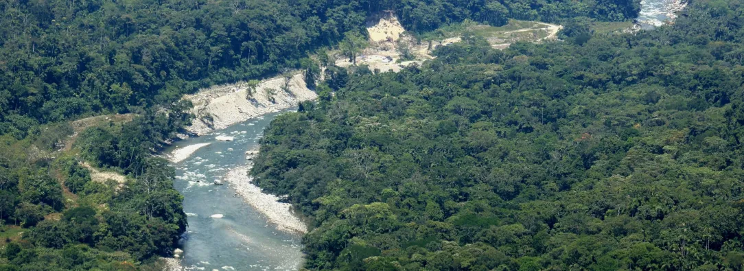 Incautan 49 toneladas de coltán extraídas ilegalmente en la selva colombiana: ¿por qué es tan valioso este mineral?