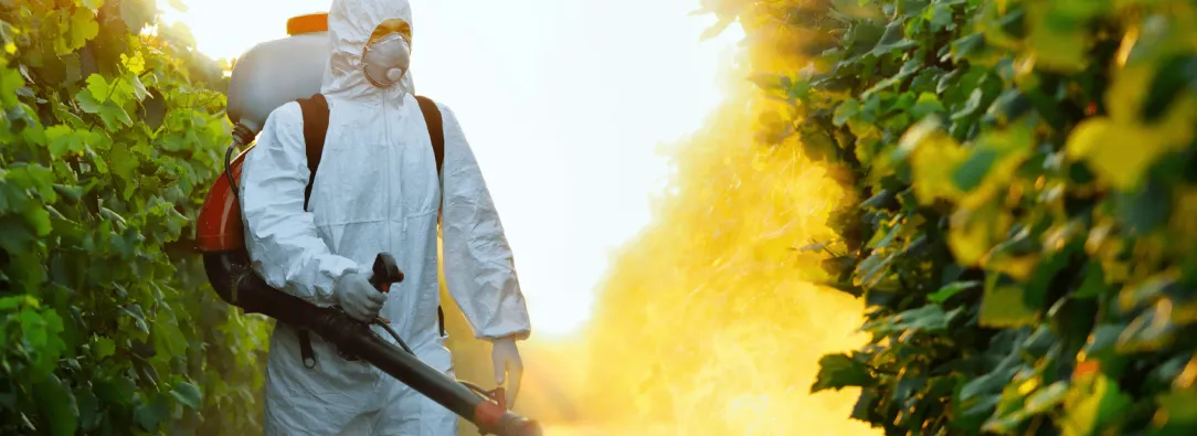 Petro desmiente haber ordenado el uso de glifosato para erradicación de cultivos ilícitos