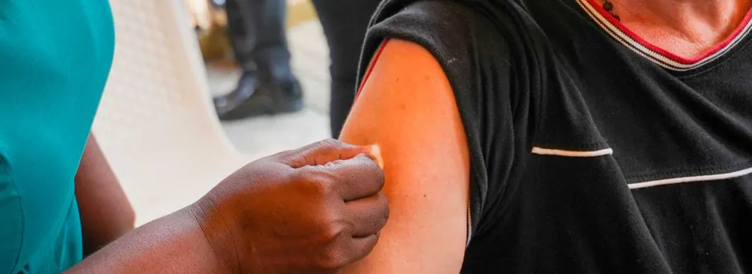 Ministerio de Salud declara emergencia nacional por fiebre amarilla ante riesgo de expansión urbana