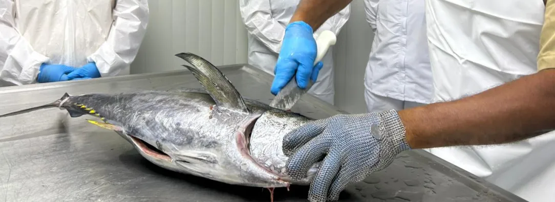 El Ministerio de Salud recuerda que consumir alimentos en mal estado o mal manipulados puede generar graves riesgos para la salud. / Foto: Invima Colombia.