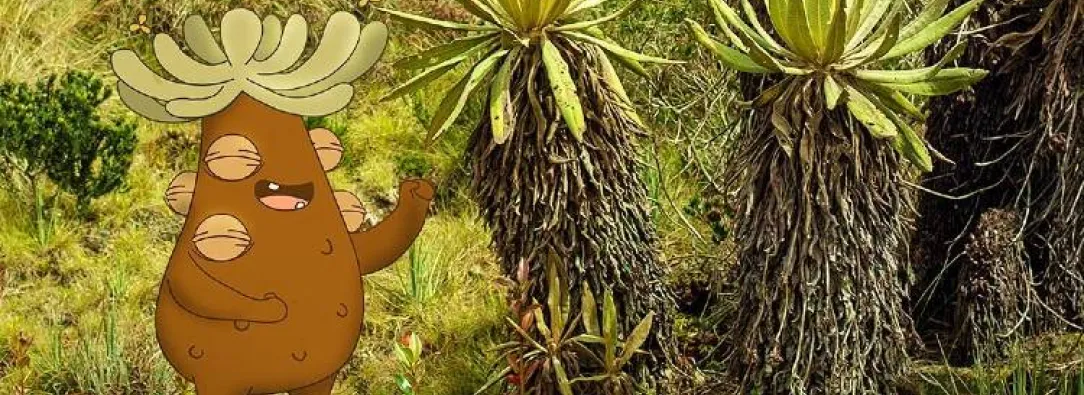 Caracol Radio se retracta por desinformación sobre Frailejón Ernesto Pérez: "Fue un error debido a la falta de investigación"