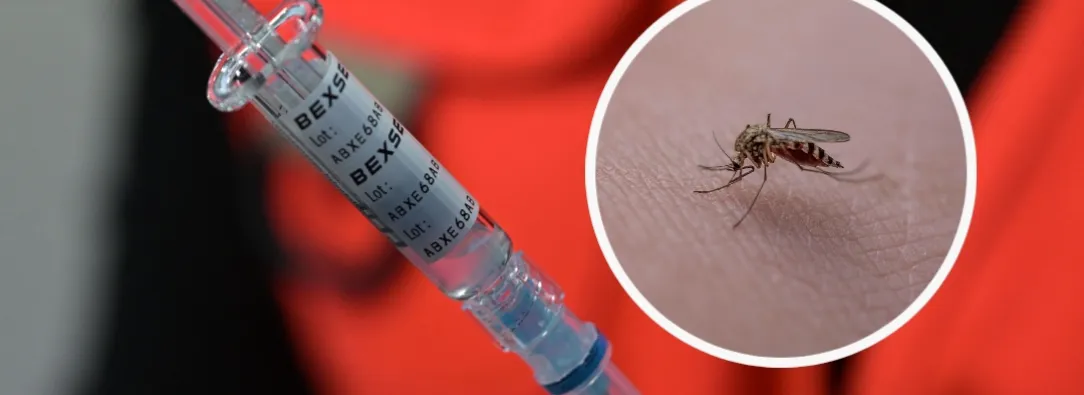 Municipios alto riesgo fiebre amarilla. / Fotos: AFP y Pixabay.