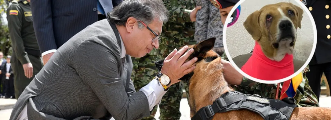 Petro promulga leyes Ángel y Lorenzo. / Foto: Presidencia y  Asociación de Protección Animal Mi Mejor Amigo.